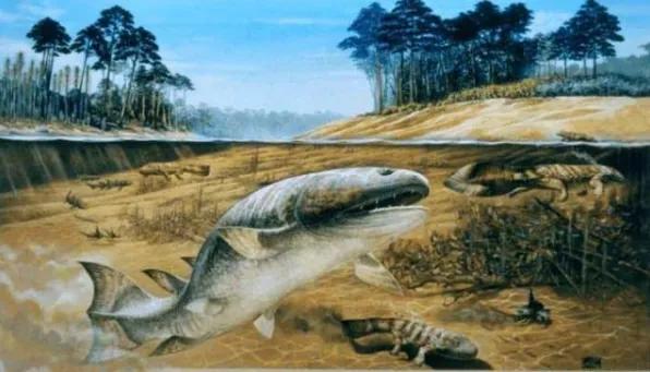 人类的祖先鱼类两栖类生物名字,为什么人类的祖先是鱼呢