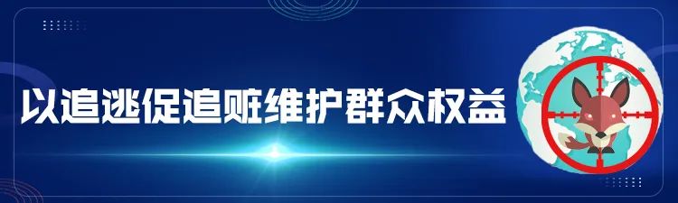 百日行动警方查处,百日行动公安持续破案