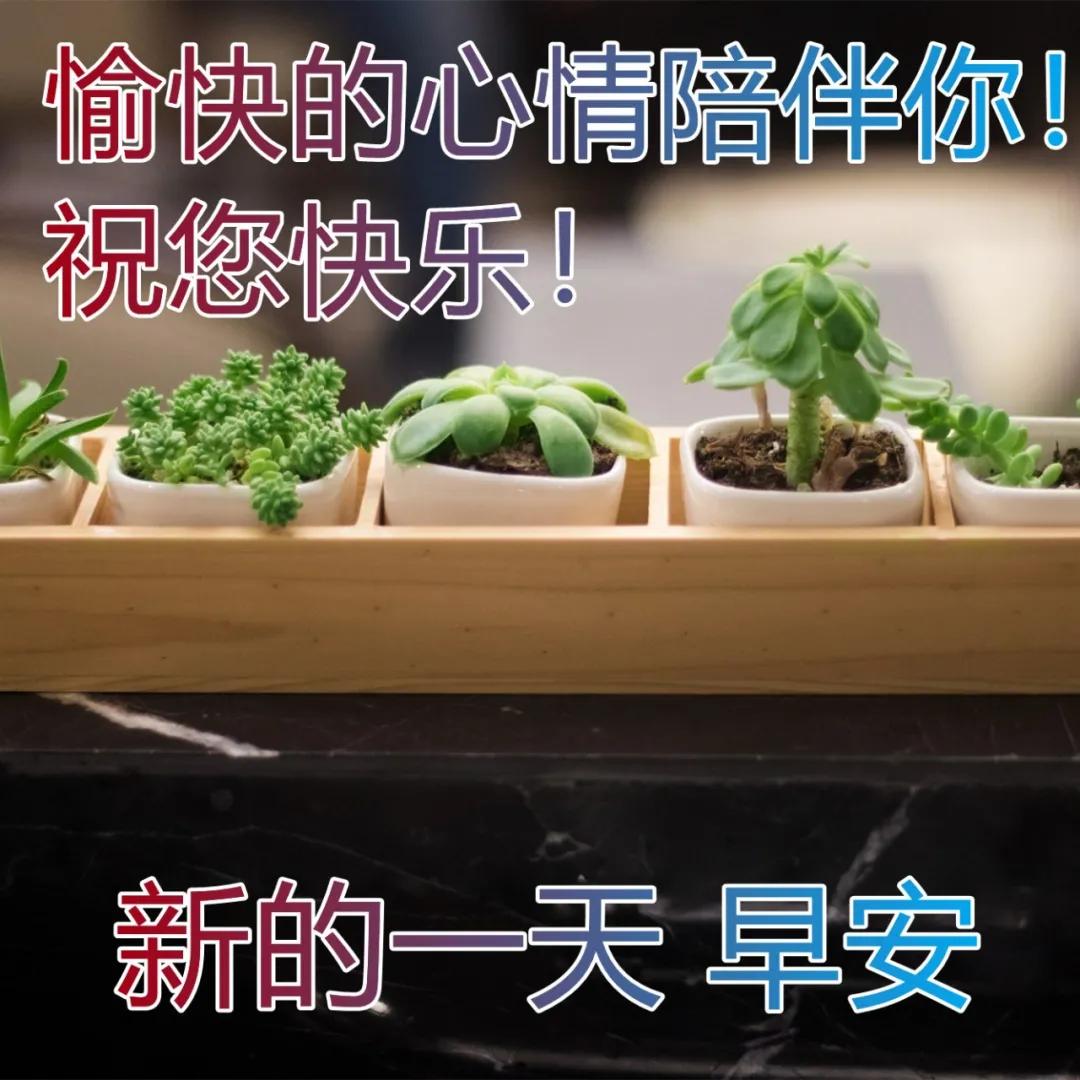 早上好温馨祝福语录动图表情,周日早上好祝福语动态表情图片