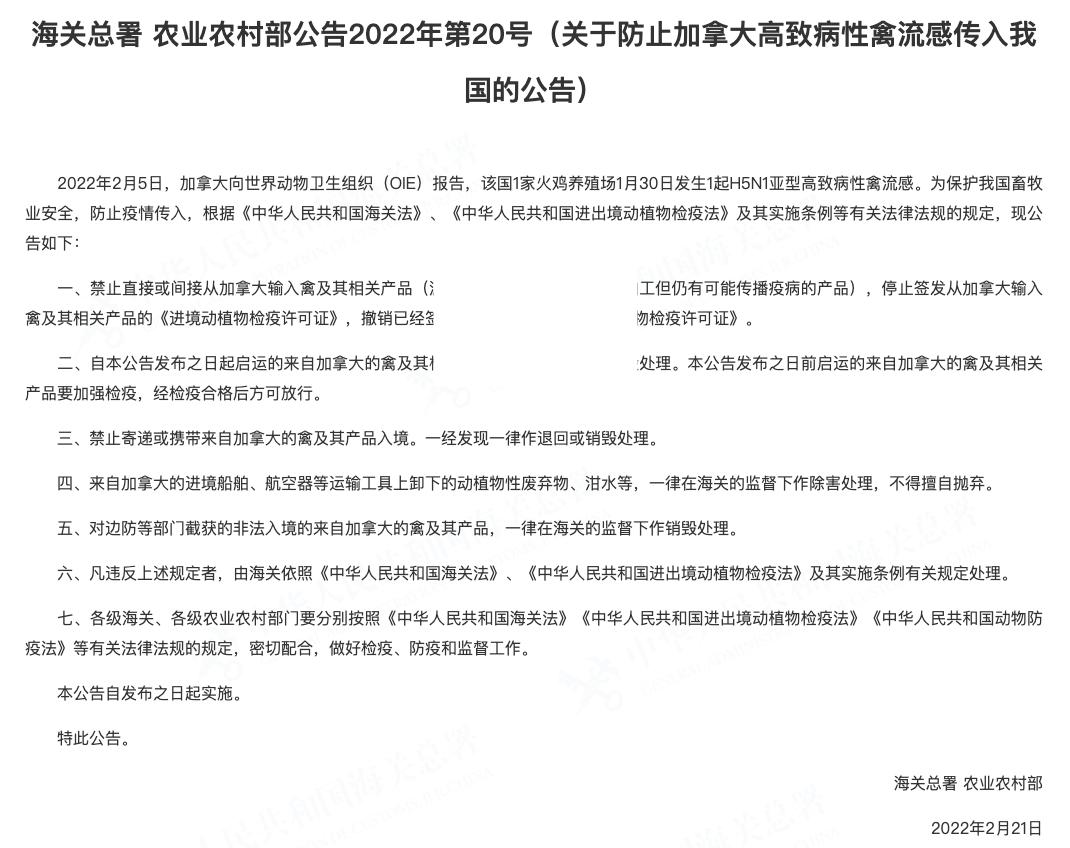 铲屎官的哲学观,铲屎官痛点