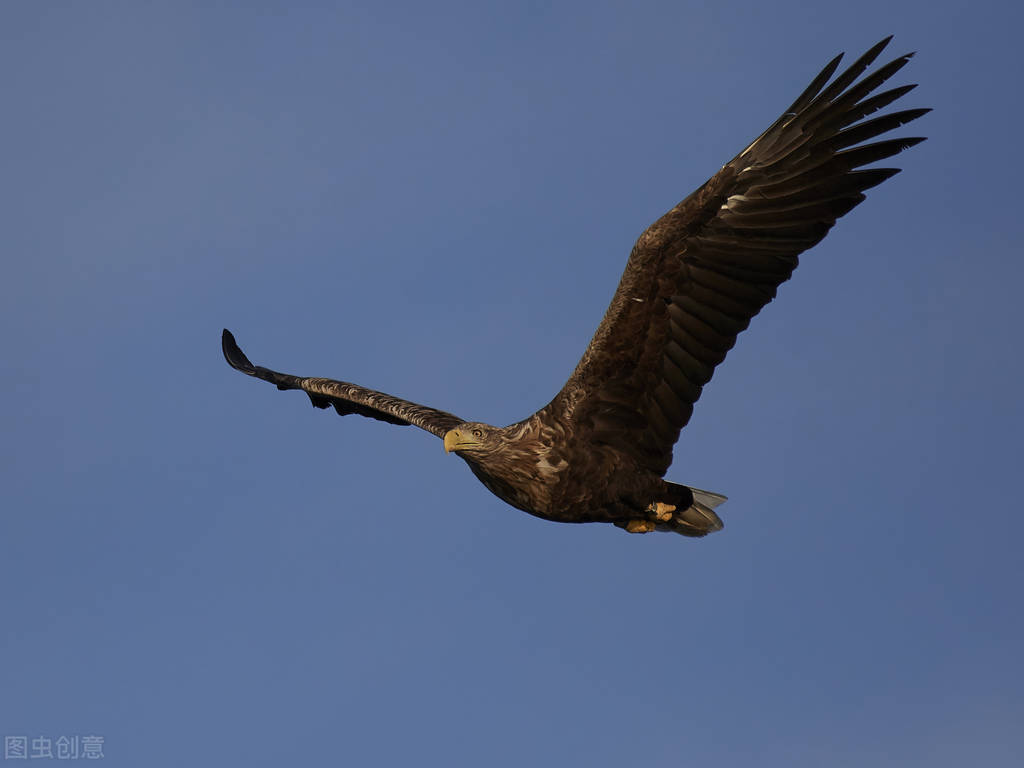 安踏为何能打败阿迪？从品牌价值来分析本土品牌的“洋超越”