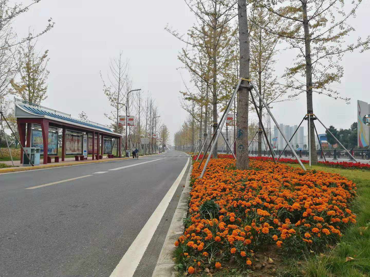 荆州楼市政策,荆州楼市新政策最新消息