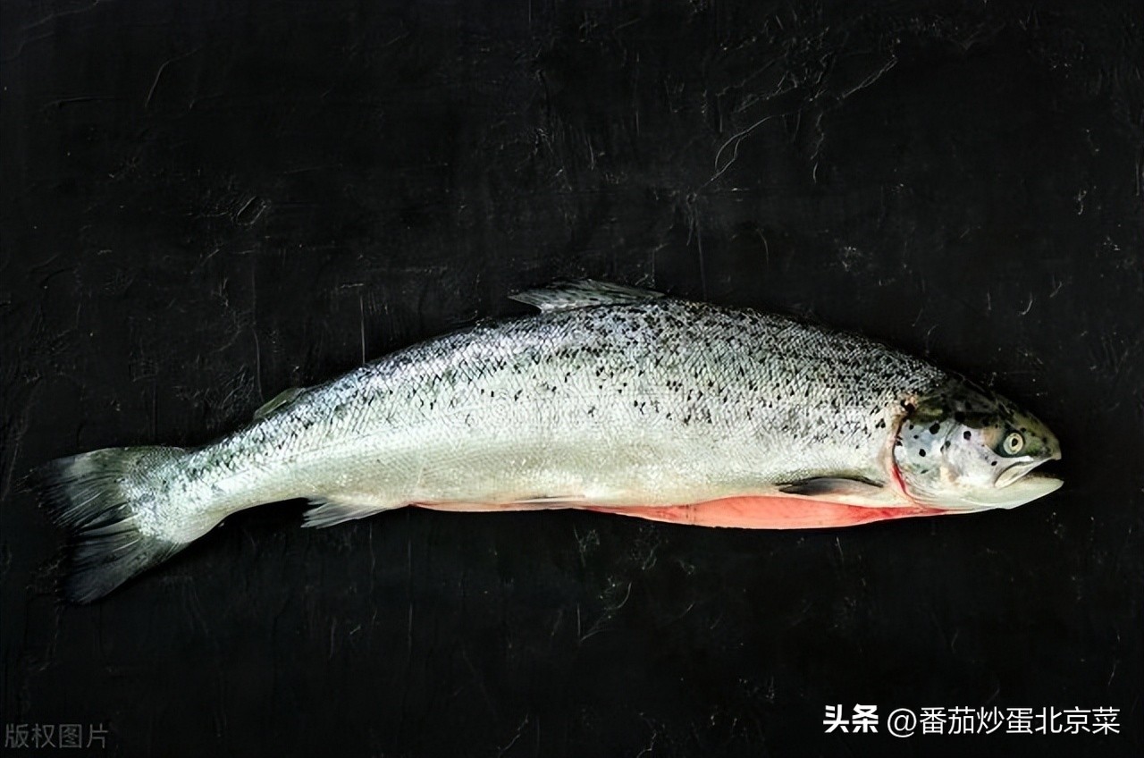 水产食物排行榜,水产品顶级食材