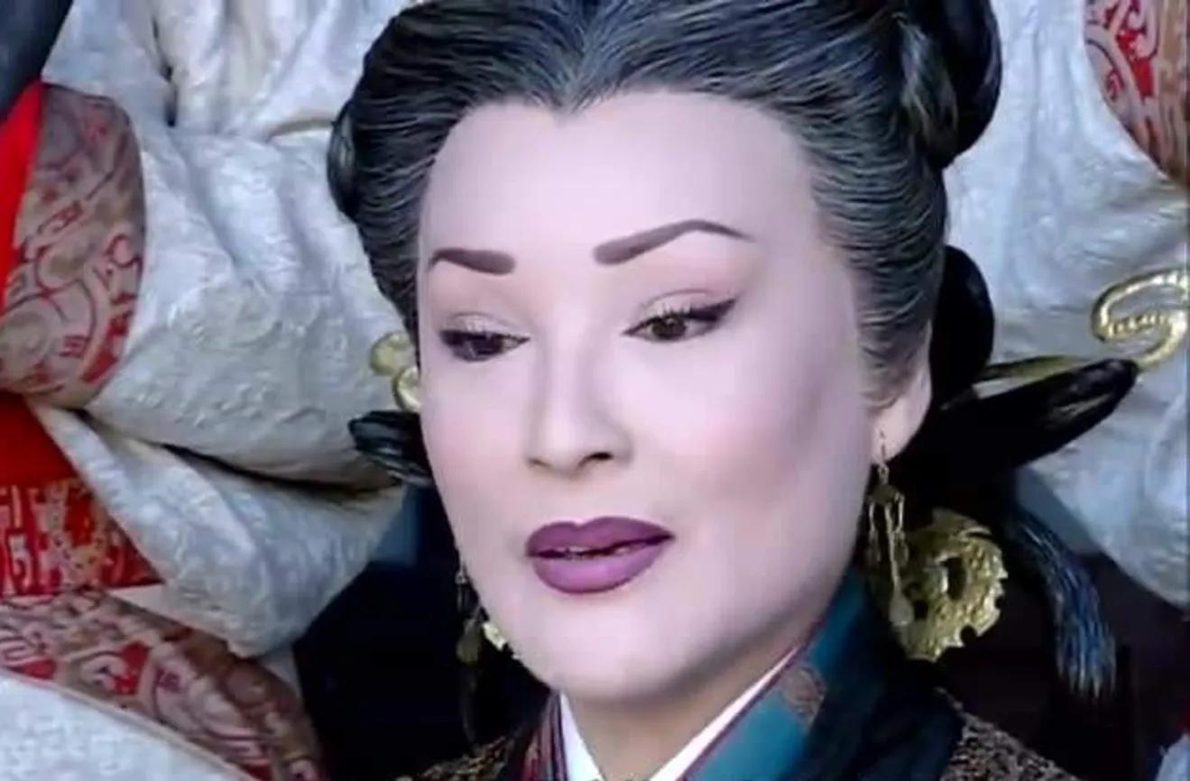 窦婴到底犯了什么错,窦婴最后的话