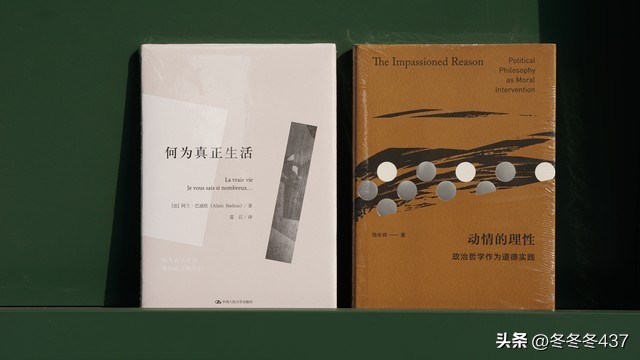 保定地产捐建学校,保定开发商被批评