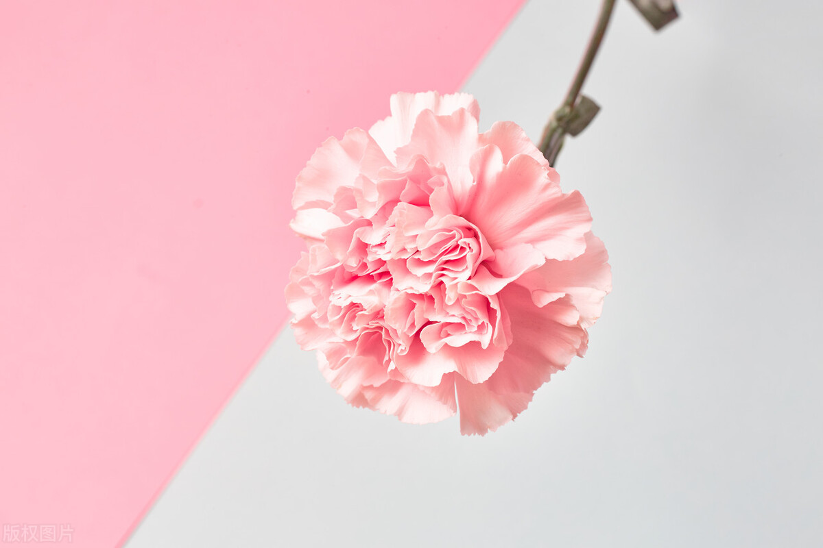 为什么两个人总是关系不好,两个人关系不好说明什么