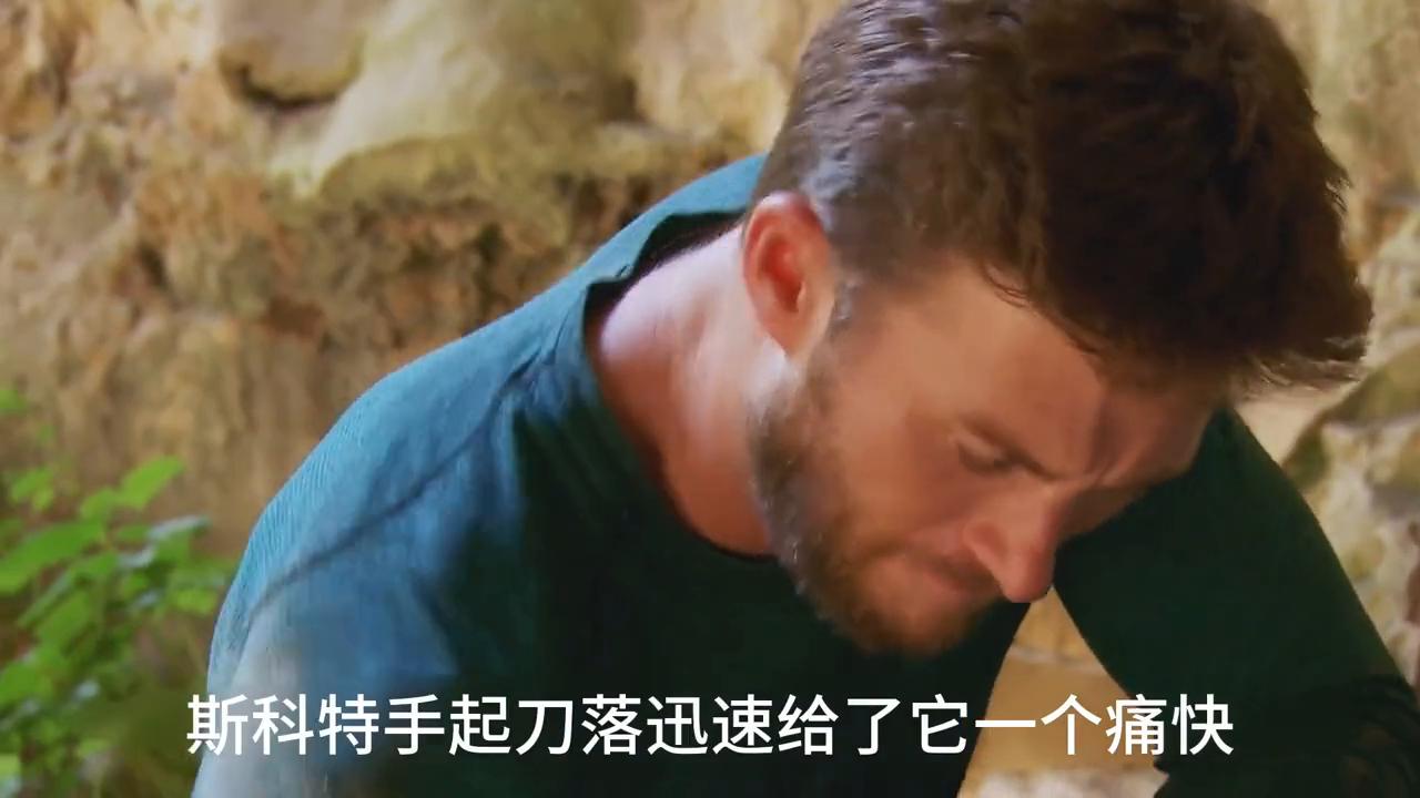 打野贝带着实习生来到了半岛，走漆黑洞穴迷宫，吃铁板叫花蛇