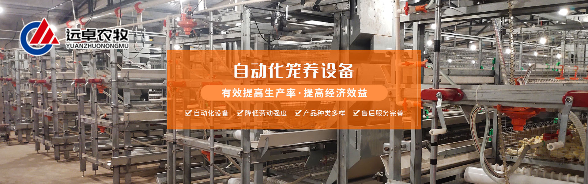 蛋鸡热应激热感冒怎么解决,笼养鸟中暑怎么办