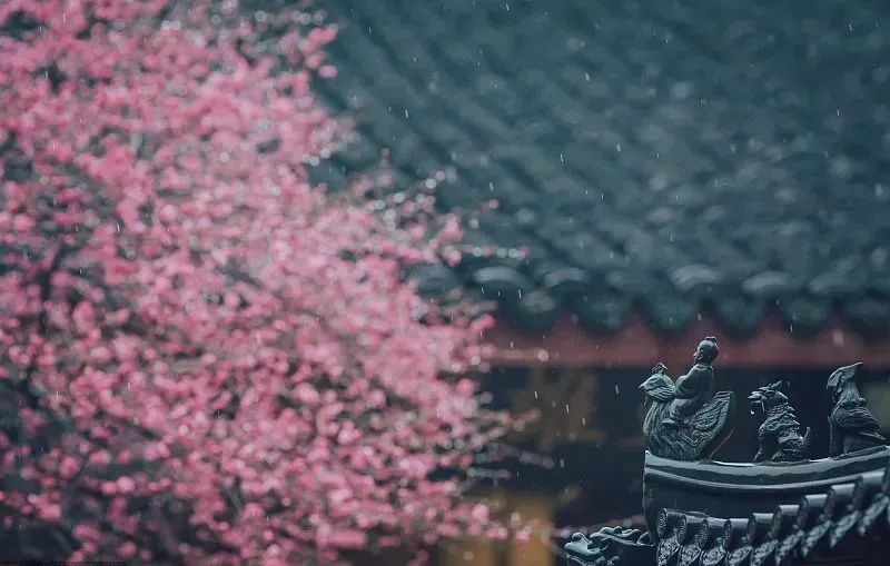 手写谷雨春天的最后一次回眸,谷雨春天的最后一次回眸图片