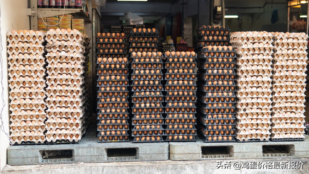 2022年下半年鸡蛋价格专家预测,今日鸡蛋价格行情12月29号