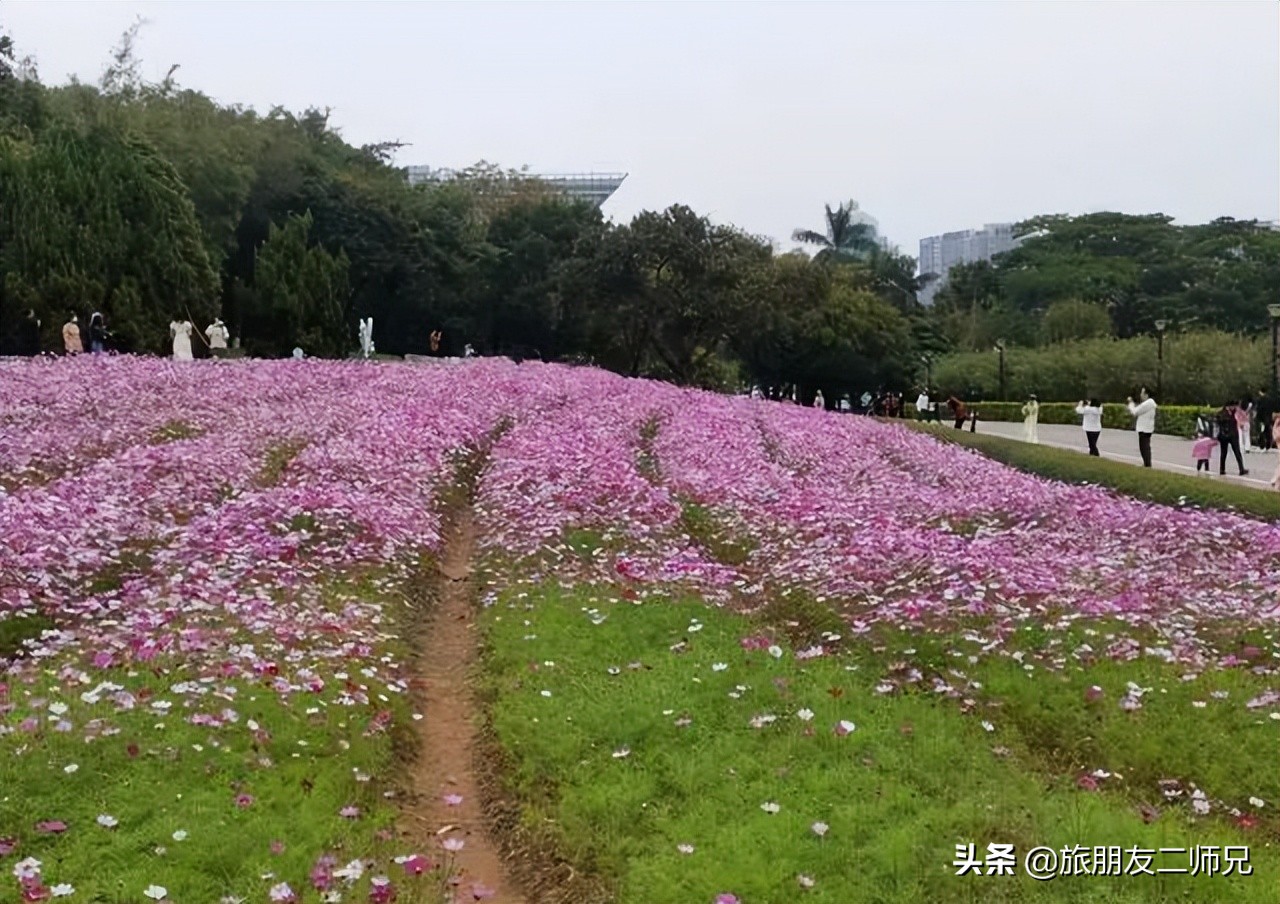 广州去西藏沿途景点攻略,东莞出发5天自由行攻略