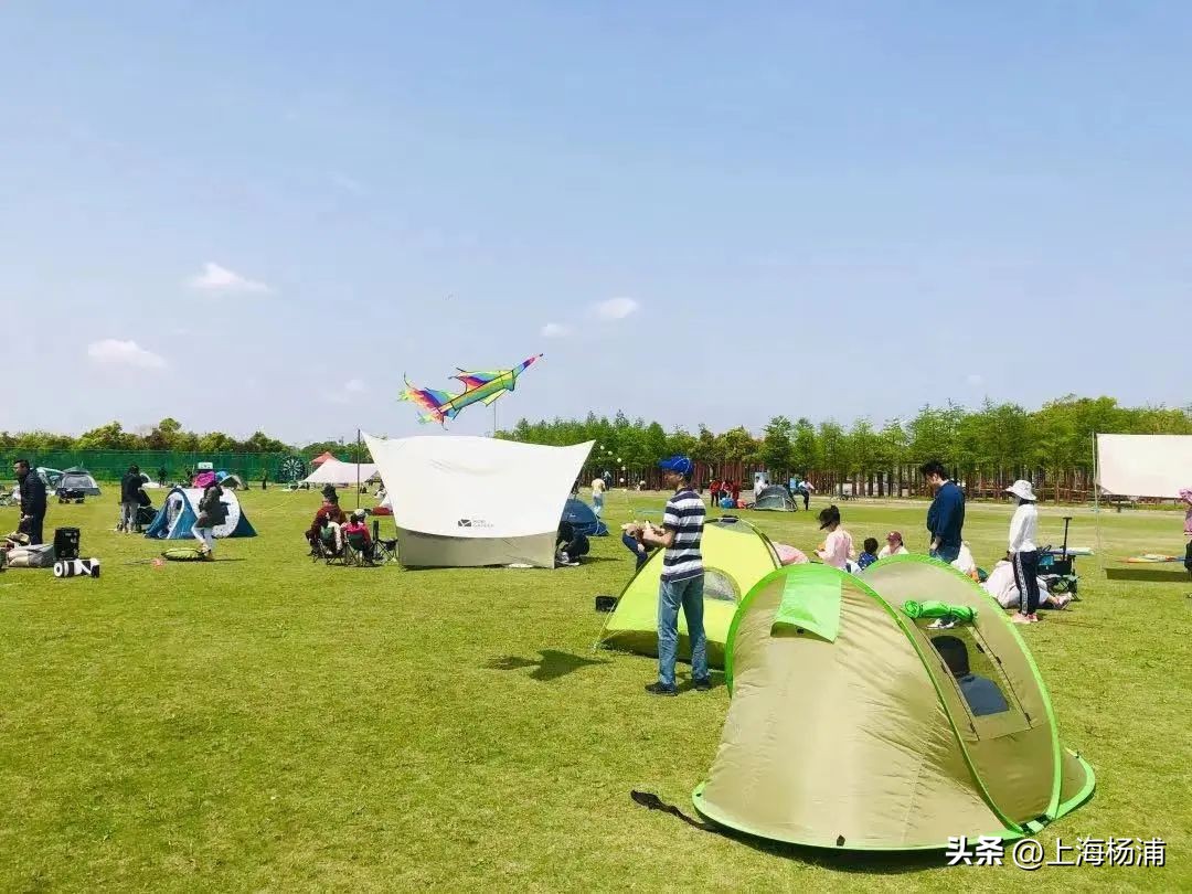 找到一处绝佳完美露营地,强烈推荐露营地