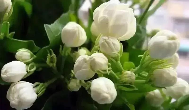 怎样保持一段长久关系,怎样的关系才会长久