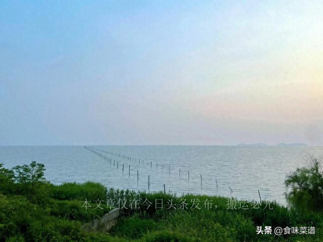 中国哪里大闸蟹最好,全国最好的大闸蟹排行榜第一名