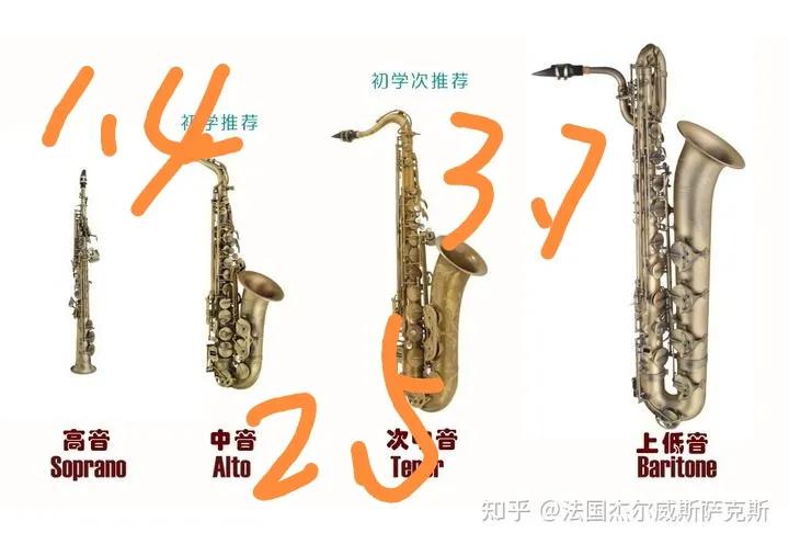 中老年学萨克斯必须学哪几个调,中老年学萨克斯需要什么条件