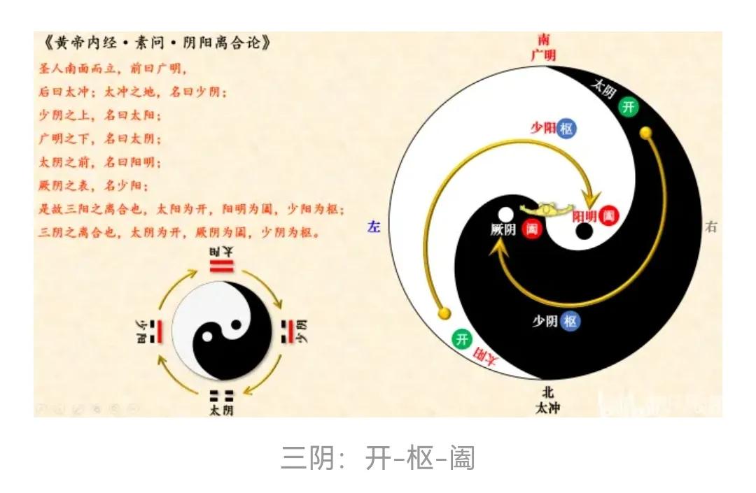 五运六气中三阴三阳的由来,五运六气六爻