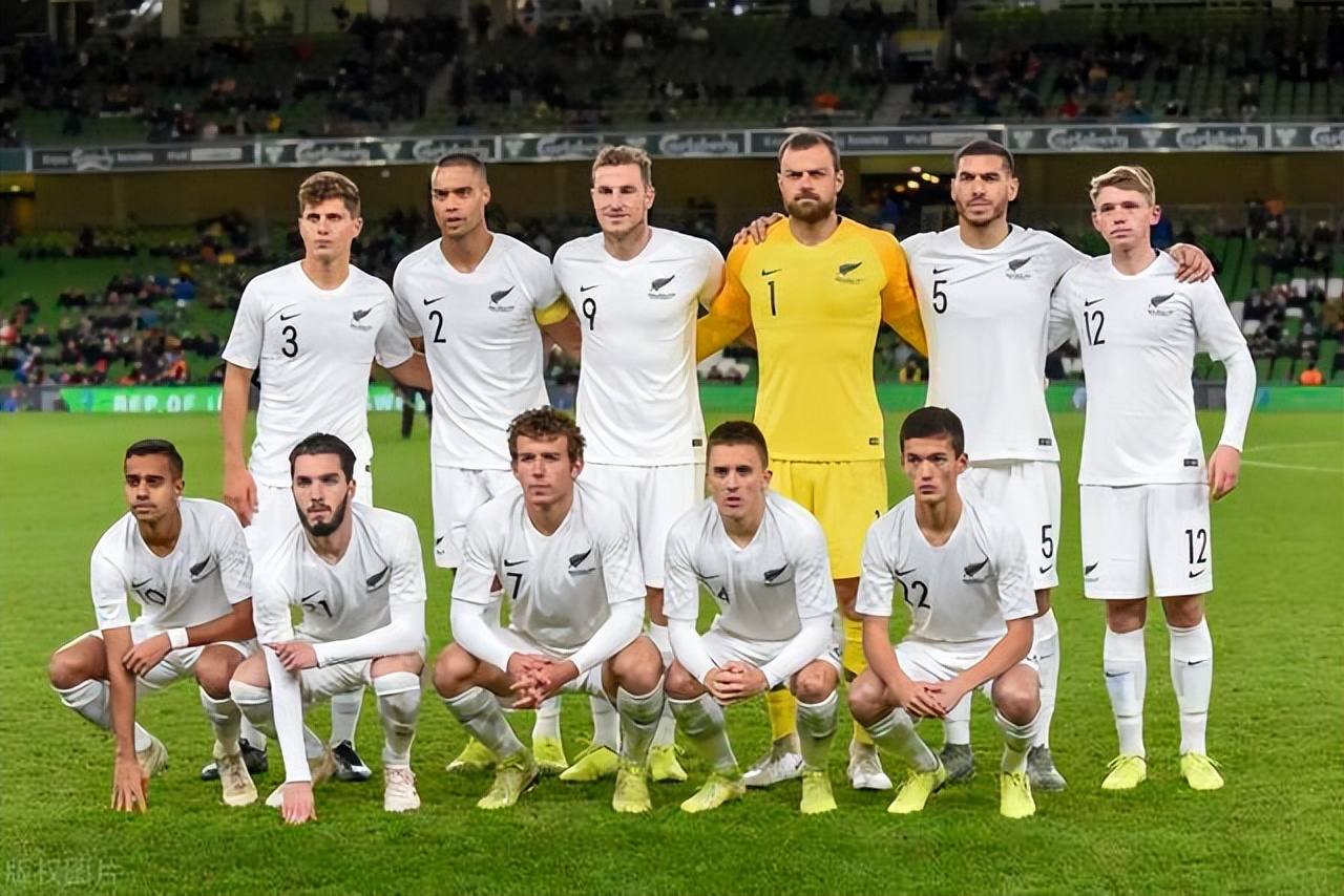 扬科维奇足球生涯集锦,扬科维奇带领男足冲击世界杯