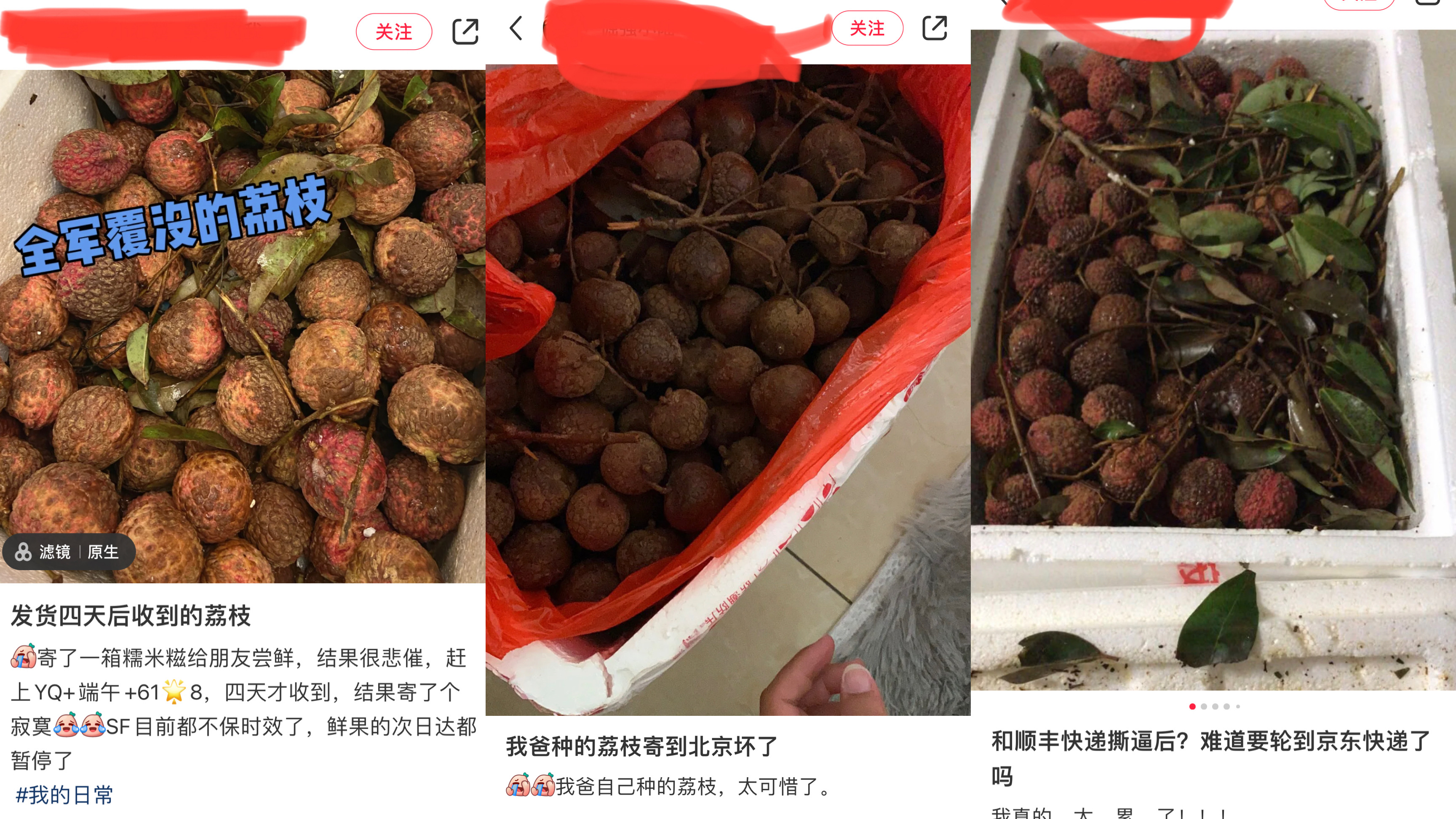 寄荔枝发什么快递,寄荔枝从广西到江苏快递几天