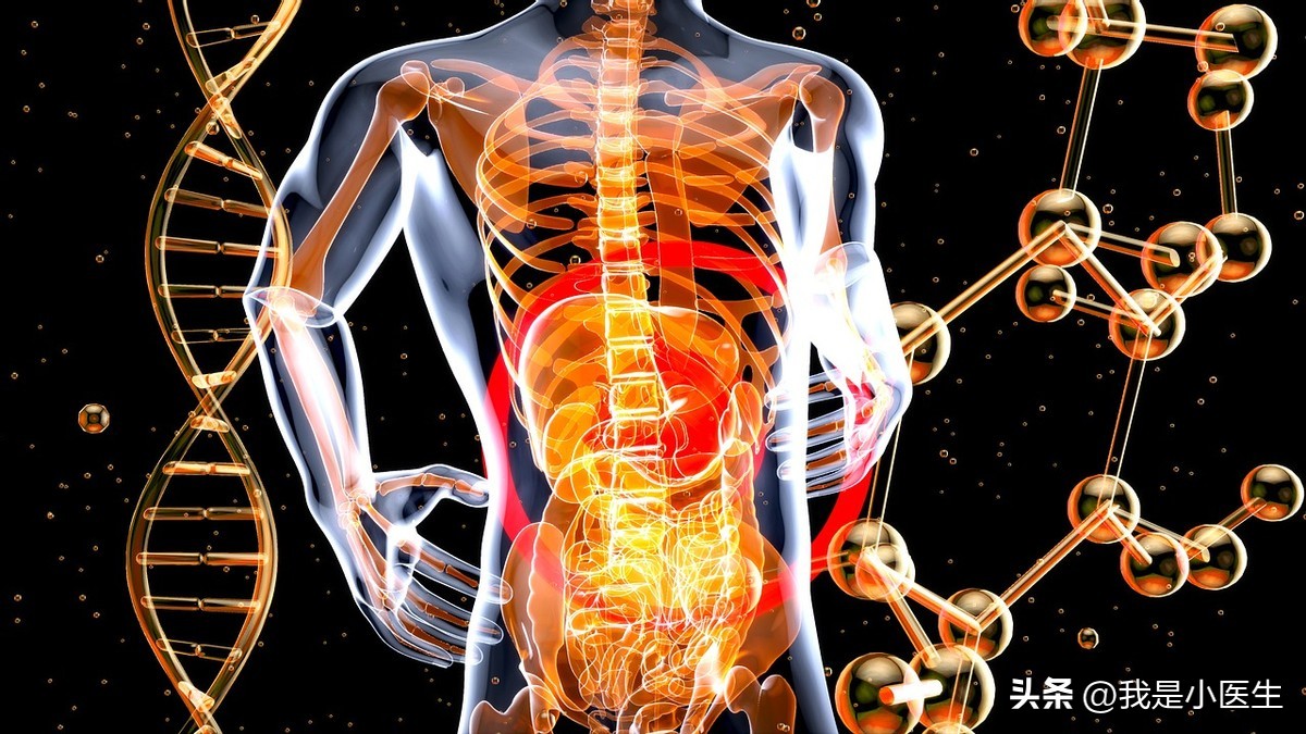 便秘3个星期吃什么,便秘食物在肠道几小时排出