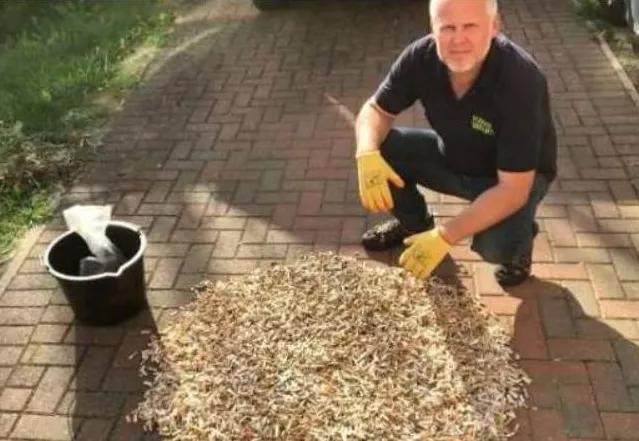 日本为何收购我国废烟头,烟头回收到底用来干什么