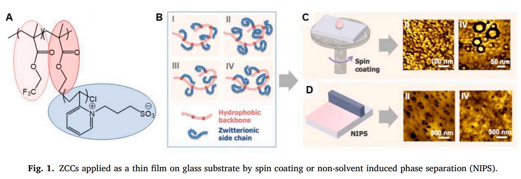 环糊精聚合物的自组装,聚合物胶体的自组装