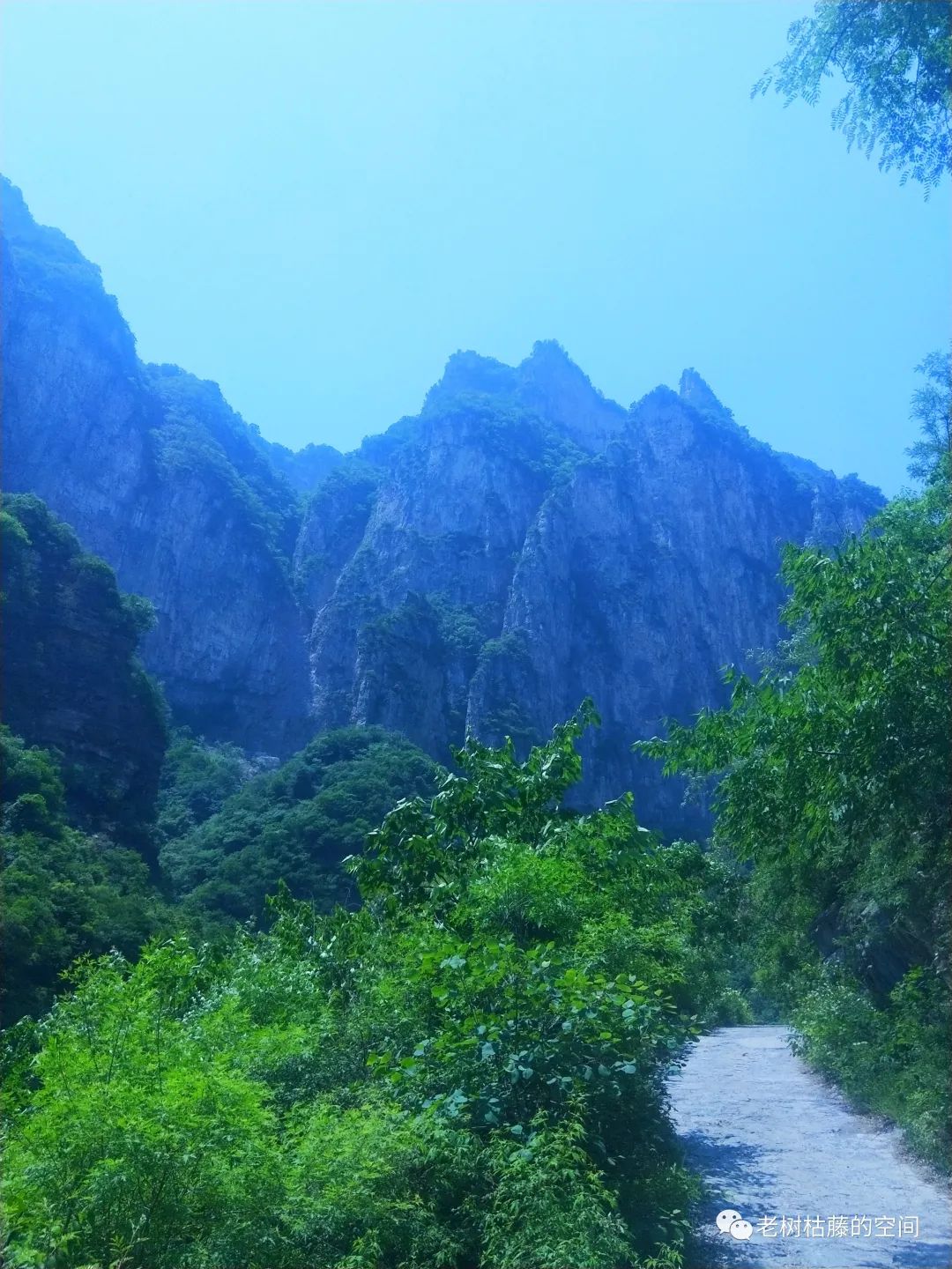 旅游的游繁体字,旅游的游踪