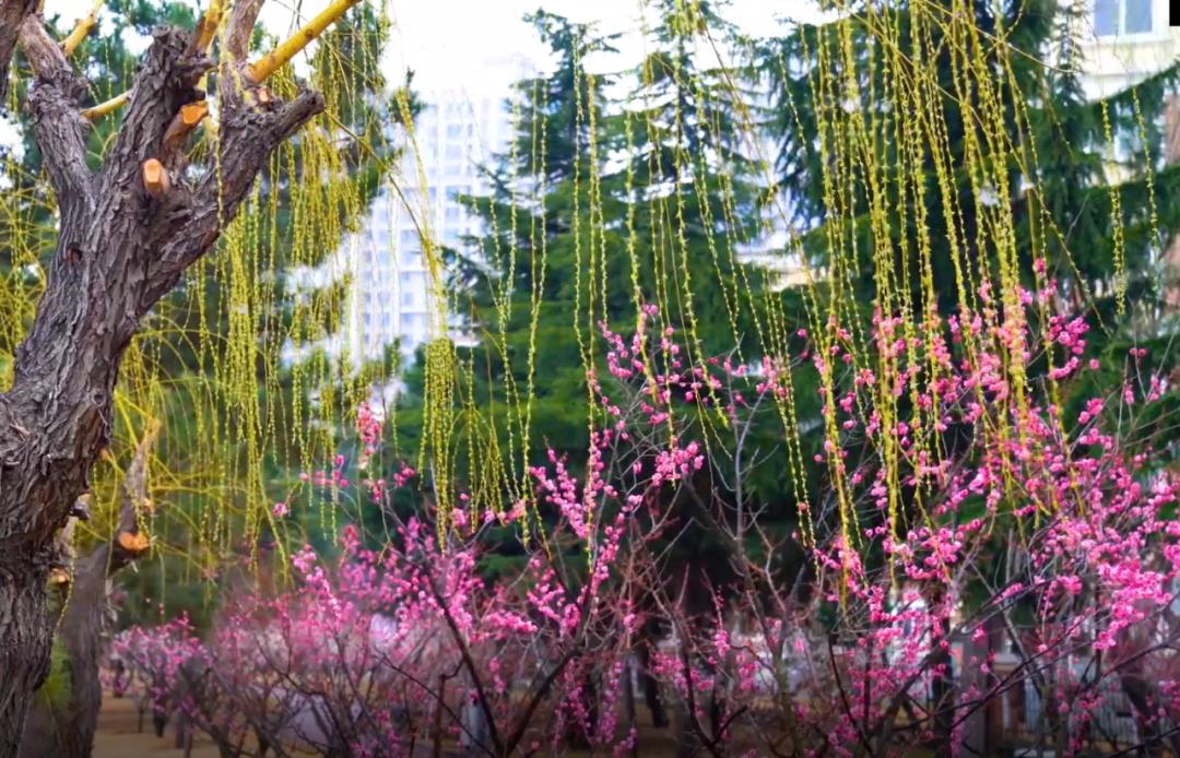 杩欐潯璺彲浠ヤ竴鐩磋蛋涓嬪幓,浠庢鍙互鍝佸皾浜洪棿鐑熺伀