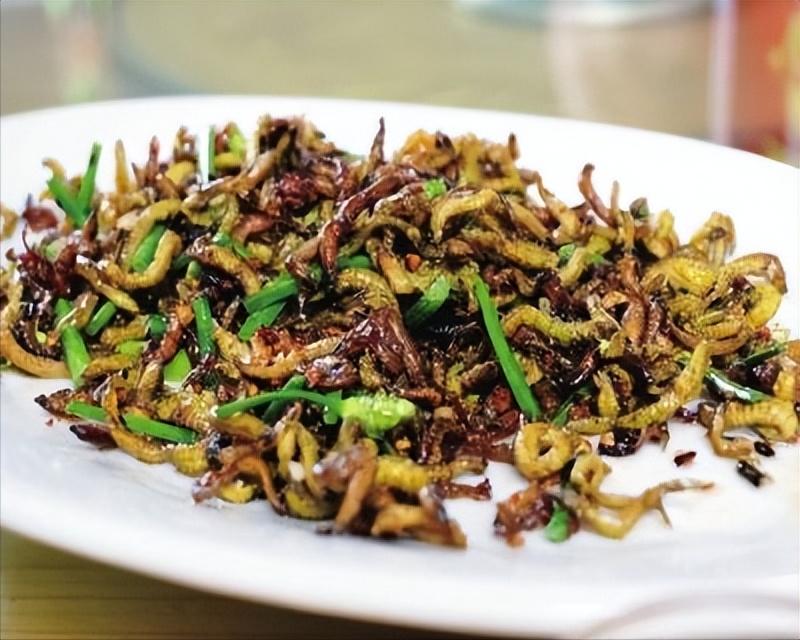 刷新对福建菜的认知，这两款“海虫菜”，有哪个敢尝试一下？