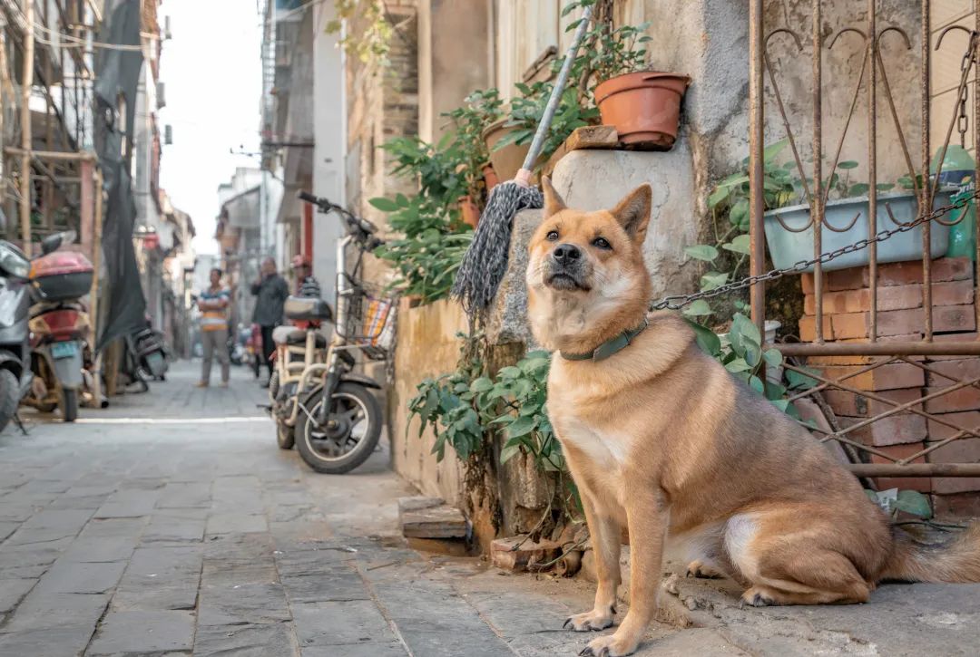 广西北海5月攻略,5月的北海有什么好玩的