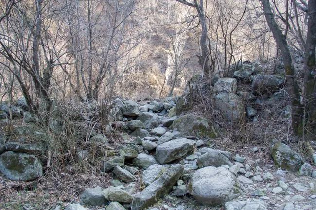 冬天寻访秦岭大峪，不但还有古道遗迹可循，还能见到这条野生广告