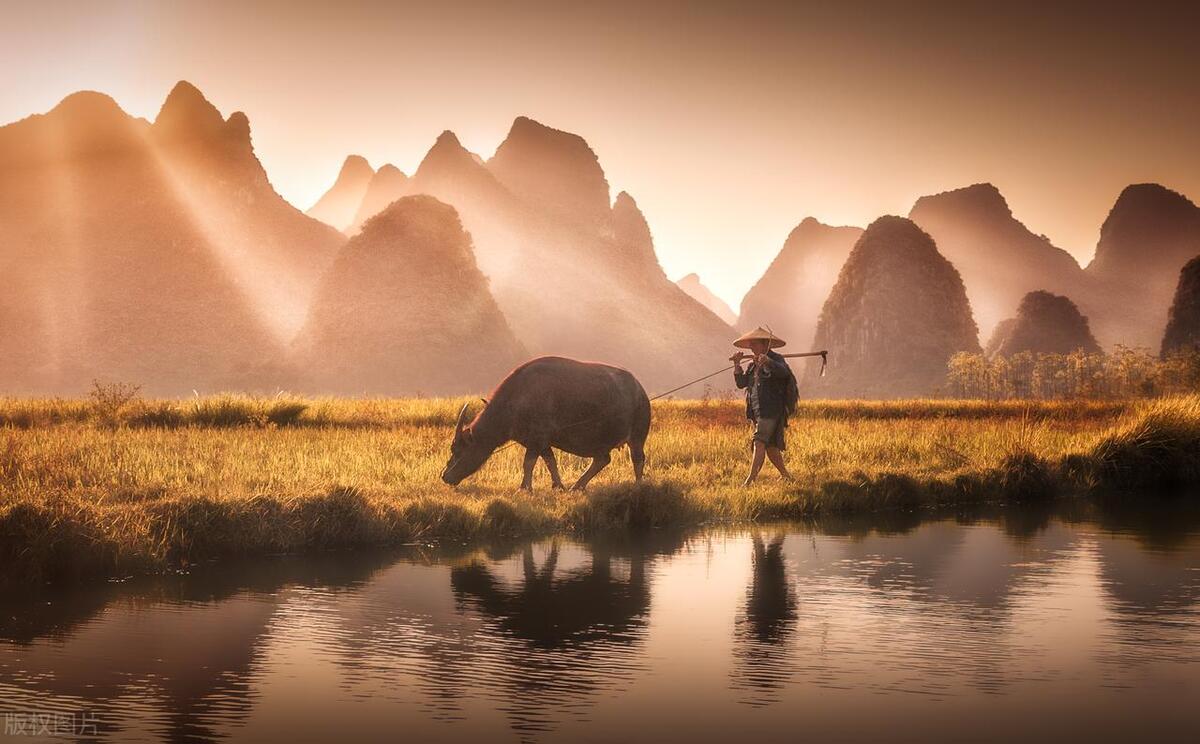 门前种三种吉祥树,南方门前庭院种什么树寓意较好