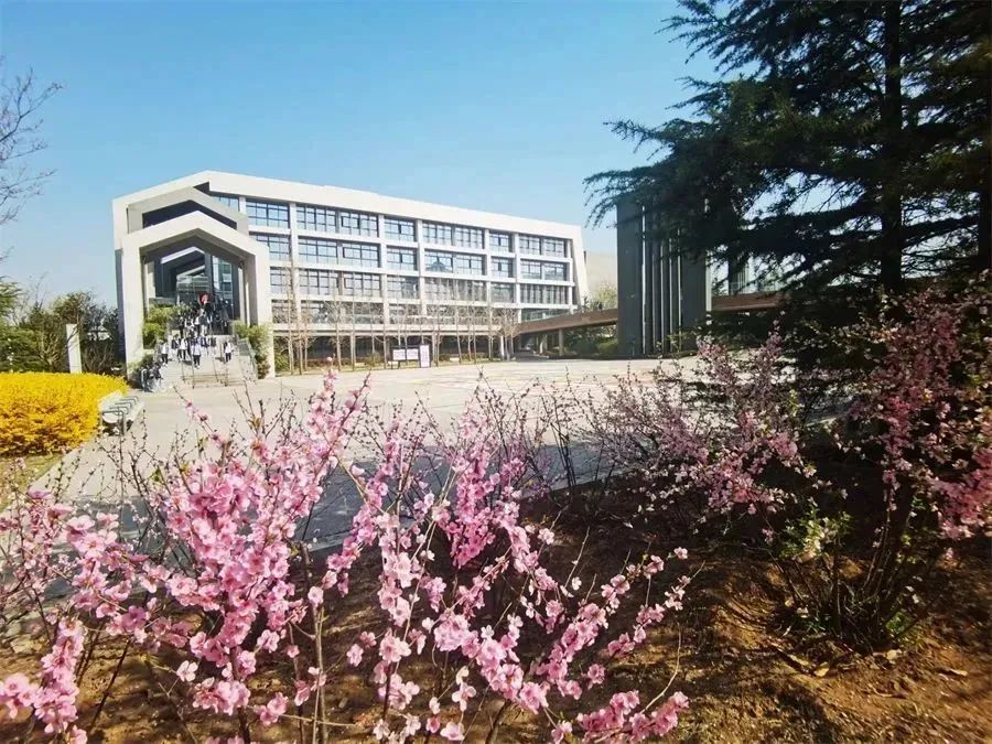 山东省青岛第六中学,山东青岛第六中学