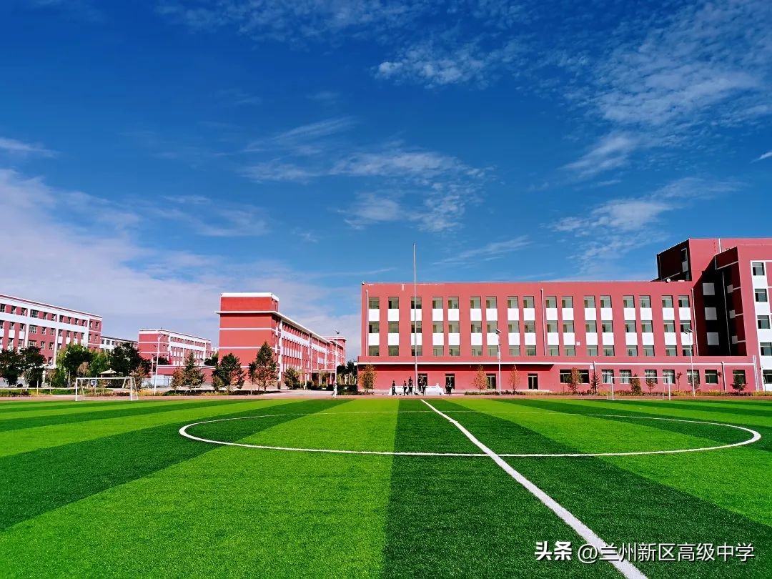 兰州新区高级中学学子在信息素养提升实践活动中斩获多个奖项