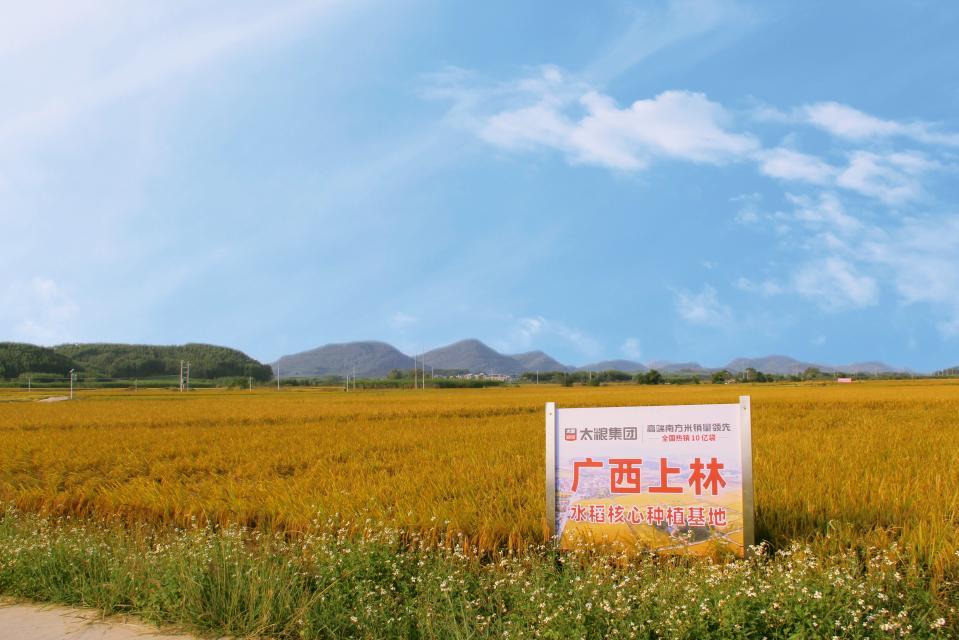 抓住黄金季节促进孩子快速生长,抓住孩子发育黄金期