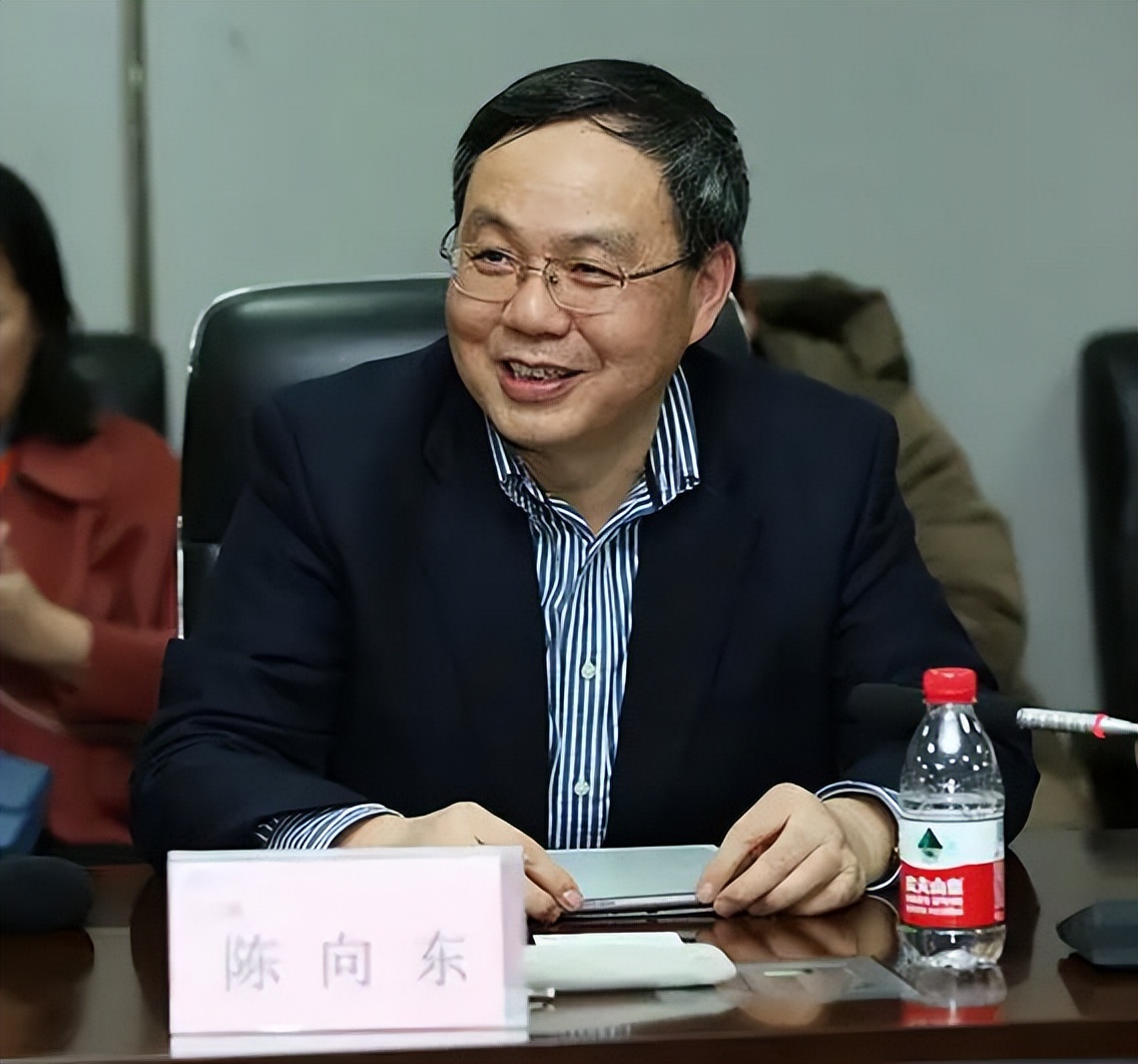 陈向东现在身价多少亿,陈向东身价最高的时候