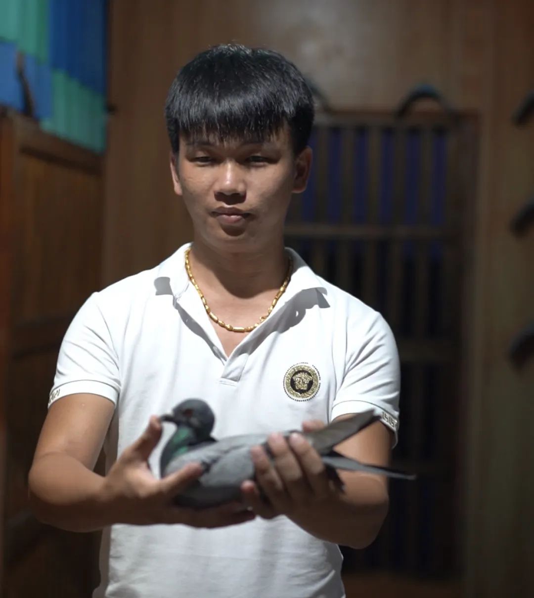 陋棚一样可以飞出“飞龙荣耀杯”13760羽总冠军，王志杭夺得亚军