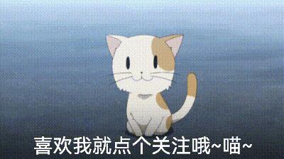 泰迪到底能不能养,为什么说泰迪很不好养呢