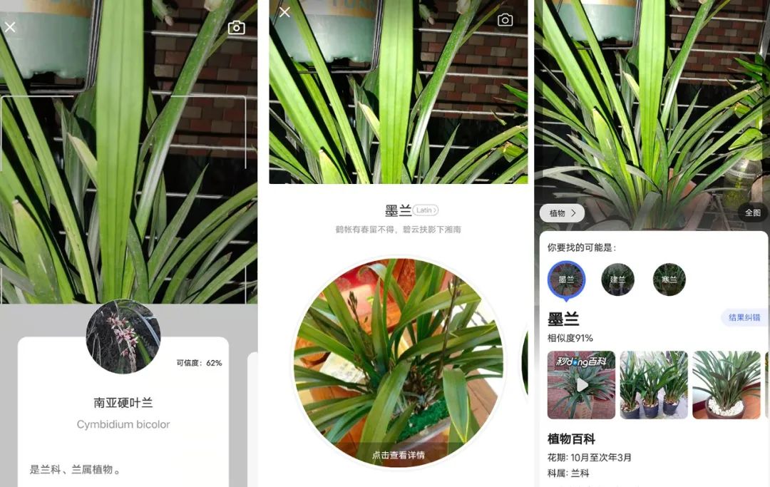 养花好物神器,花友必备神器