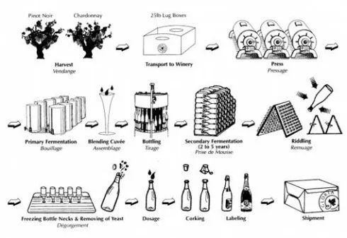 香槟和起泡酒的口感区别,香槟和起泡酒的不同