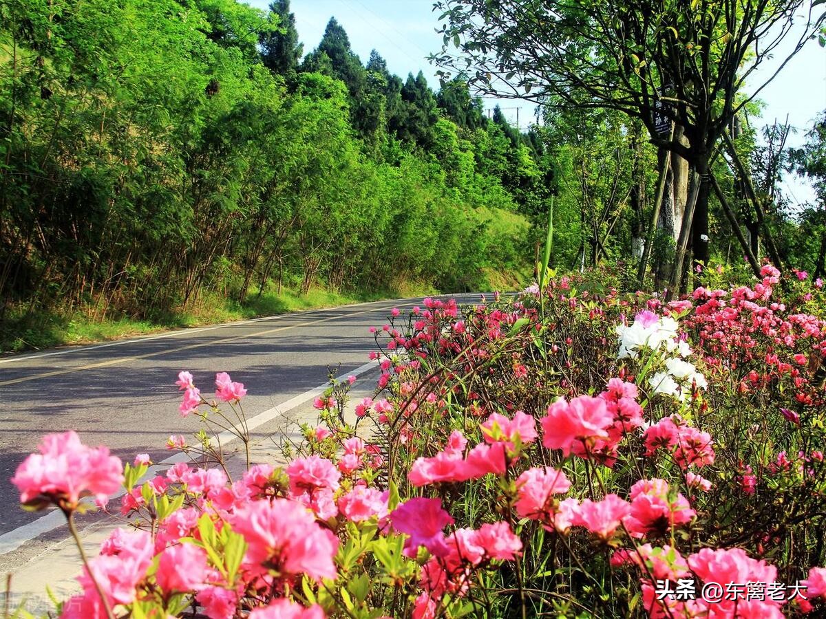 保姆与老人跟团旅游,保姆冬天去三亚