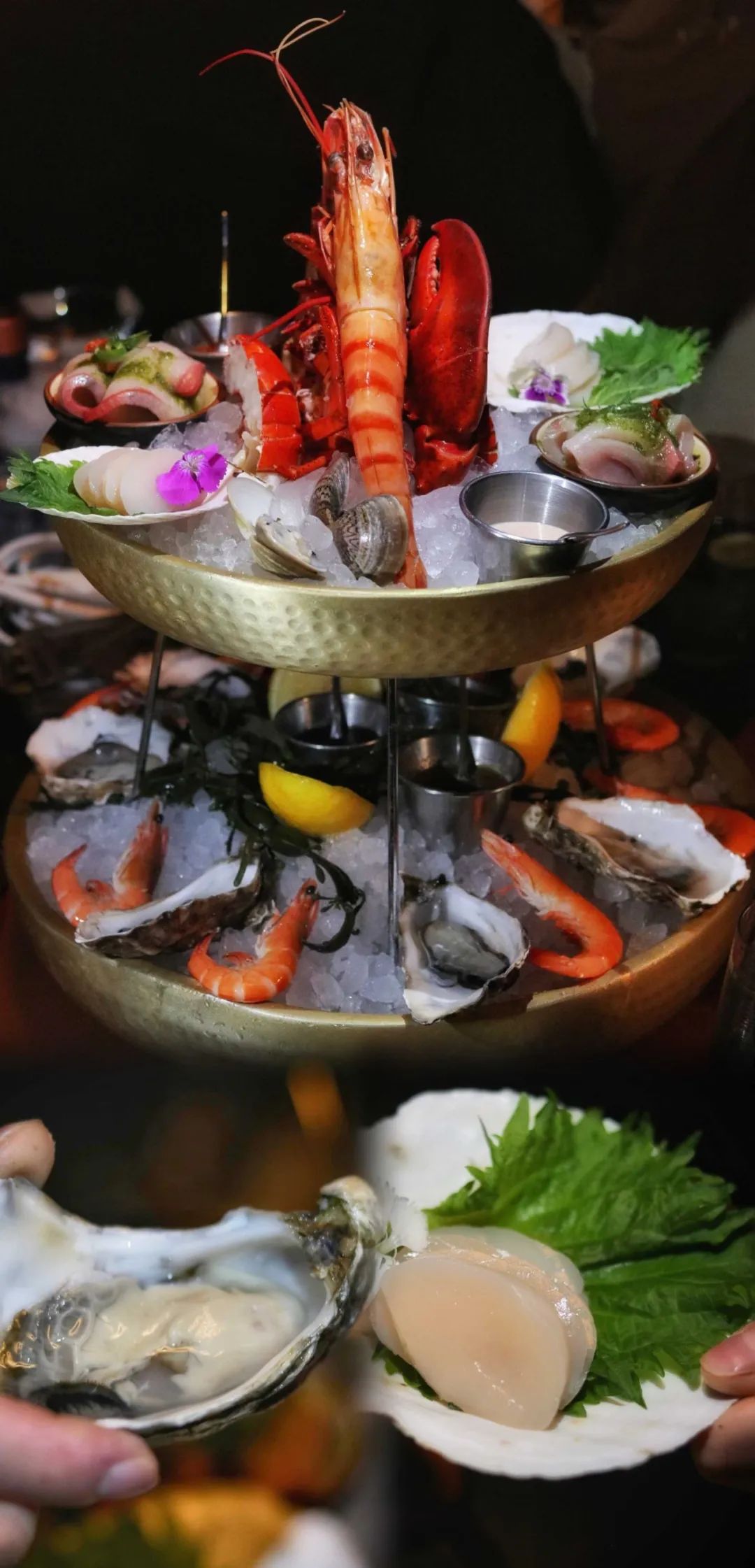 香港顶级海景酒店,香港实惠的海景酒店