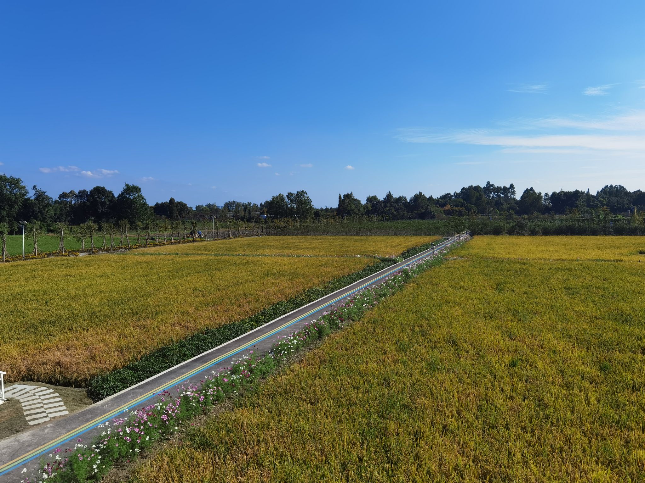 稻田乡村主题游,乡村旅游美食文化活动