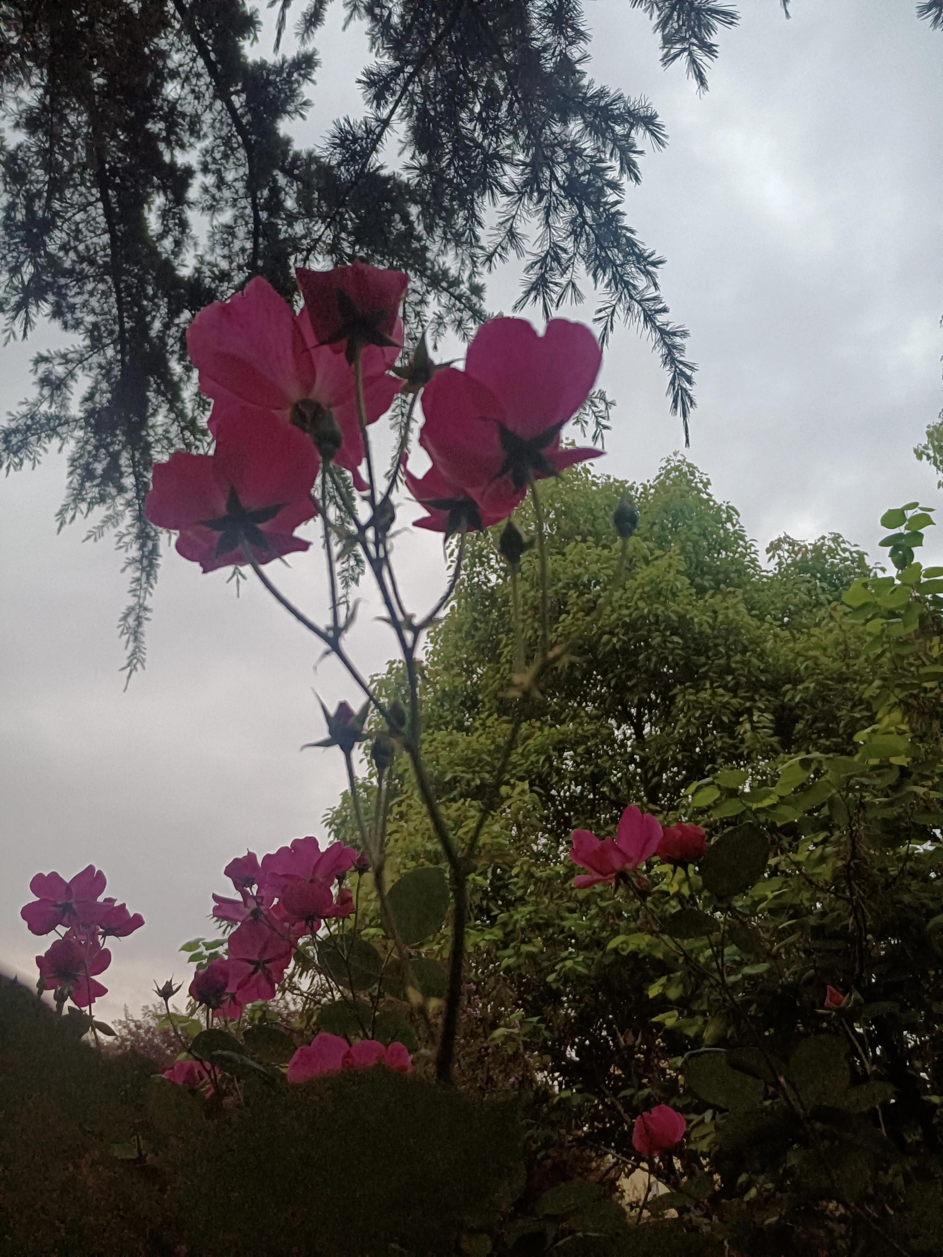 从北京到南京,买的没有卖的精