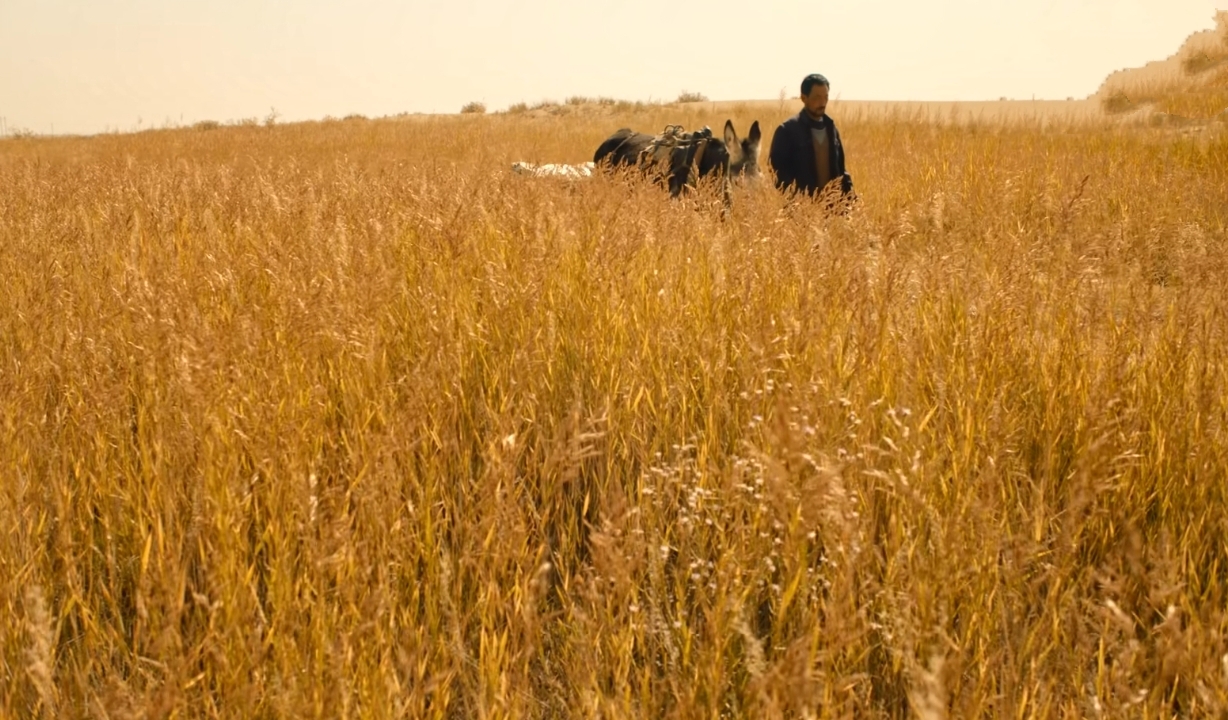 《隐入尘烟》被下架大可不必，其实可以正视研究改进它