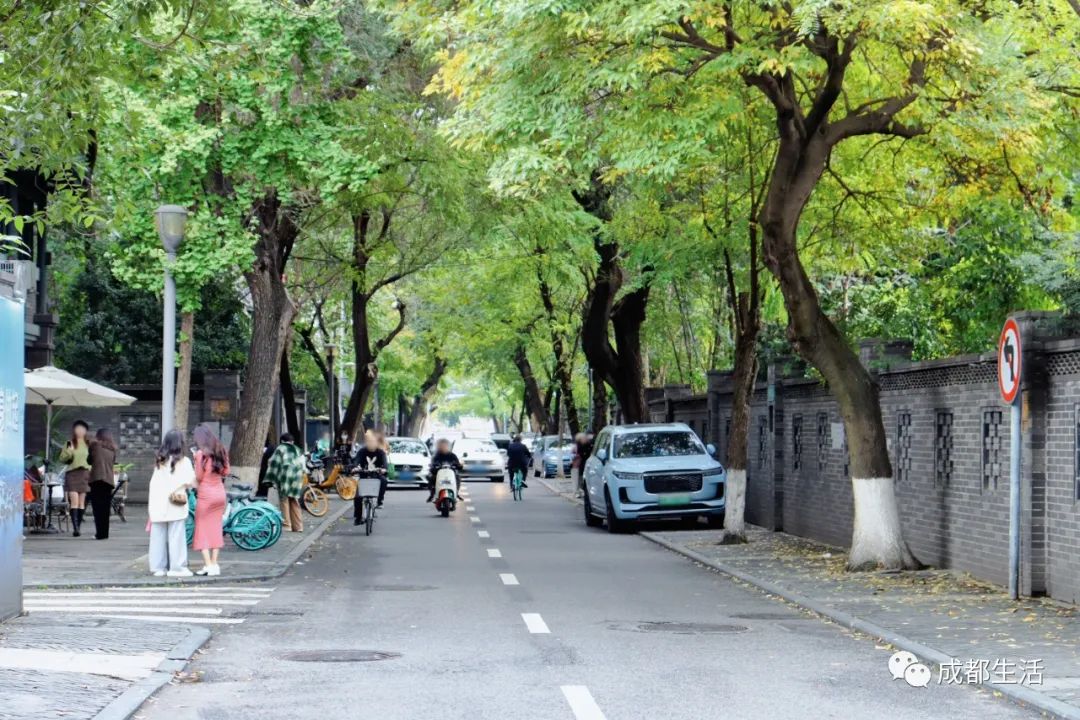 成都最有烟火气的老街,成都比较有特色的老街