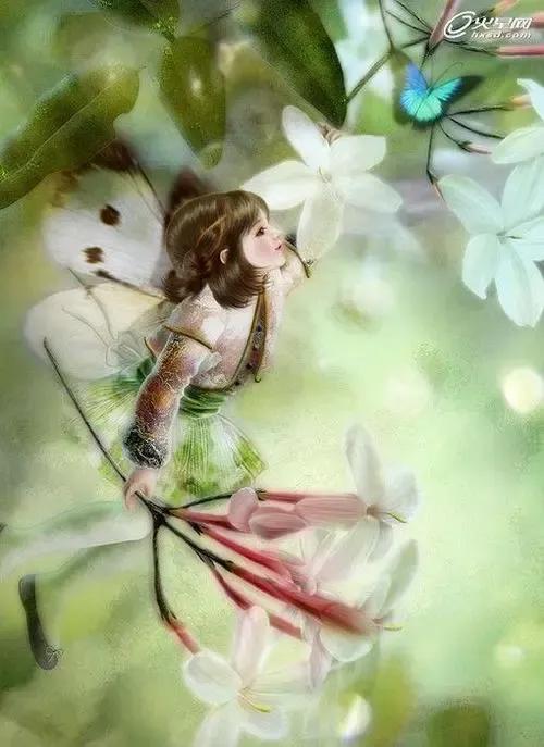 精灵传说藏宝阁,精灵传说攻略