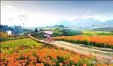 城市风光京山 (京山好风光)