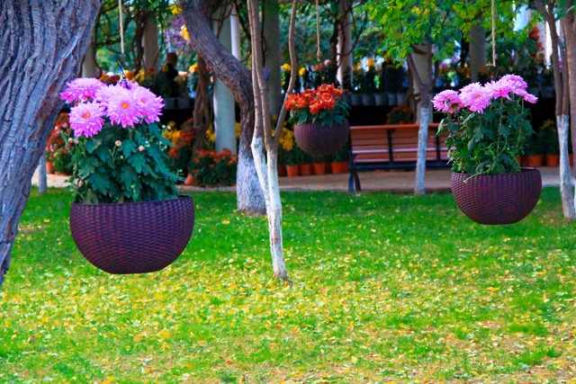 家有一老如有一宝，遇见这样的老人，我该怎么办？