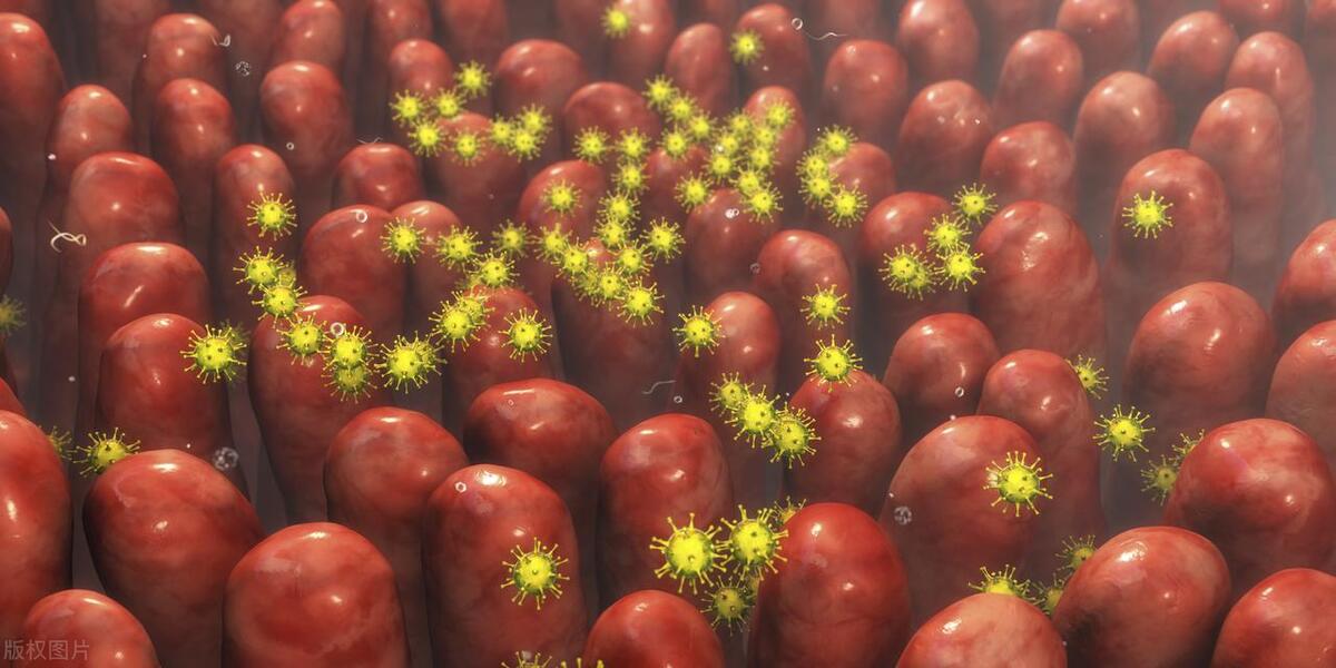 女性私密处有白色泡沫排出来是怎么回事？是不是被妻子背叛了？