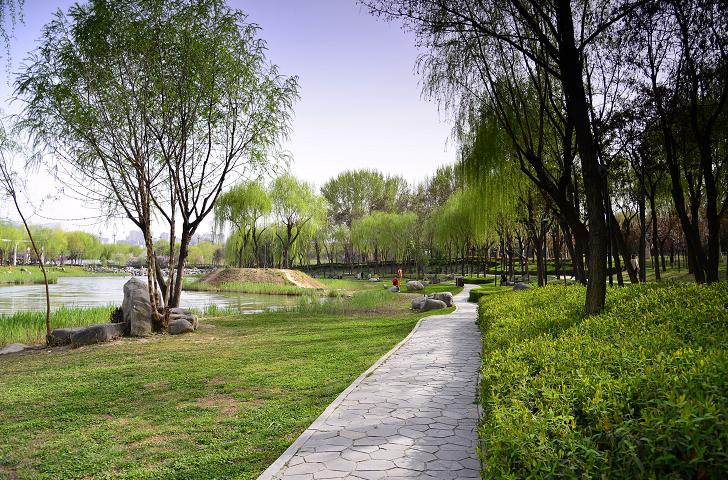 骑行打卡景点,湿地骑行观风景